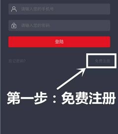 全网v p影视自助建站系统详解 一站式打造专业影视网站